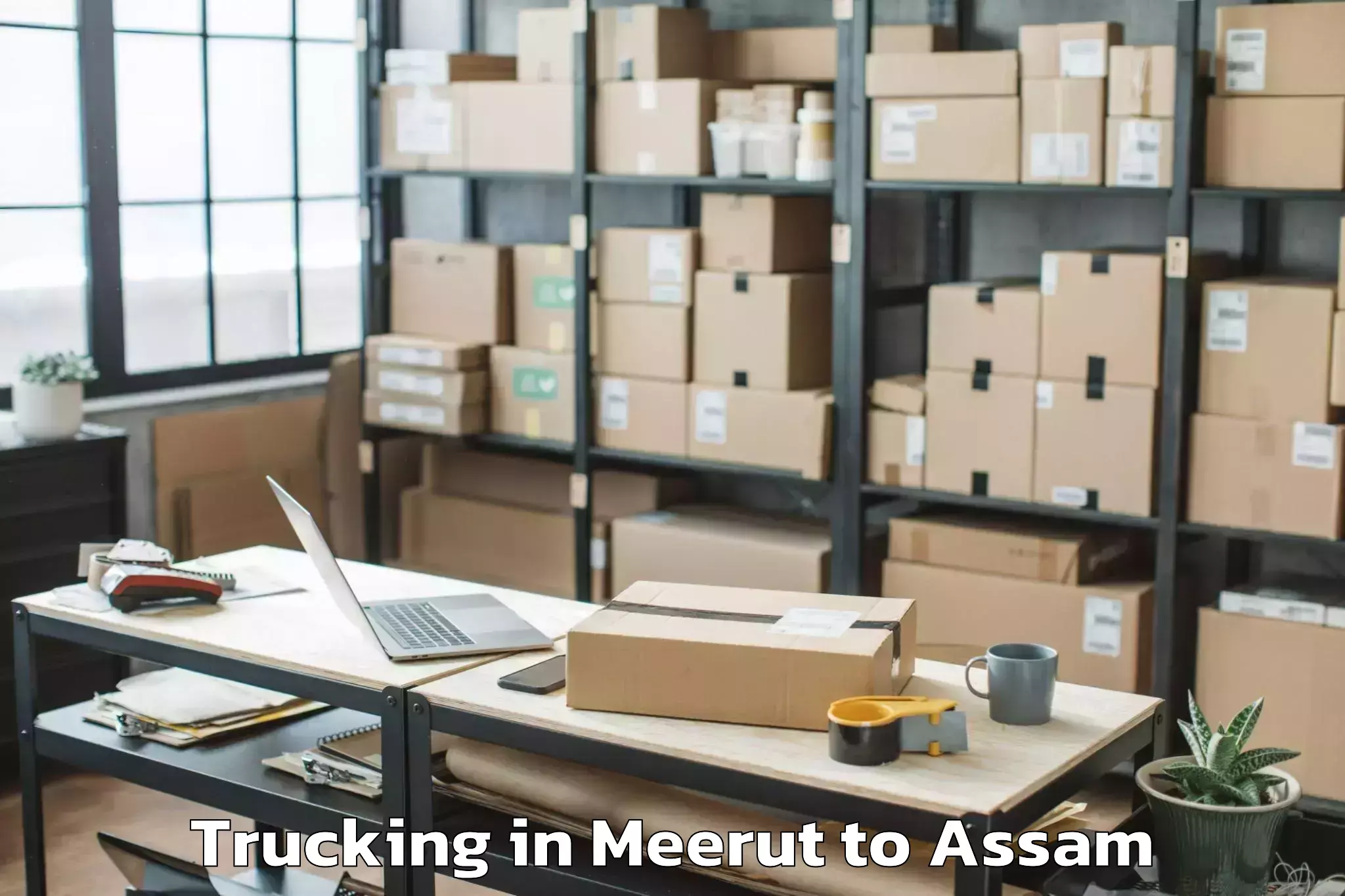 Trusted Meerut to Rupahi Trucking